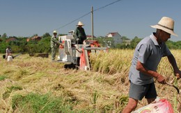 An ninh lương thực Trung Quốc đối mặt mối đe dọa tiềm ẩn: Những vùng quê già cỗi