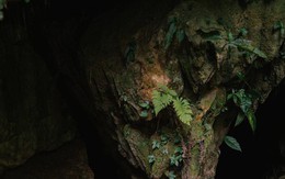Khám phá hang Bó Mỳ - điểm đến ít biết ở Hà Giang