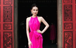 Hoa hậu đầu tiên giúp Việt Nam vào top Miss Universe, hiện tại ra sao sau thời gian dài lui về hậu trường?