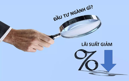 Lãi suất giảm, đầu tư ngành gì?