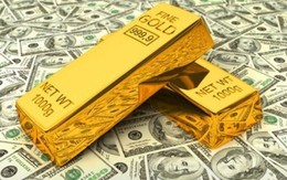 Đầu tư vàng hay USD để sinh lời?