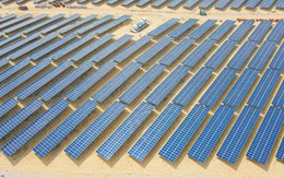 Dự án điện mặt trời Bamboo Capital vận hành thương mại sớm nhất trong các dự án năng lượng tái tạo chuyển tiếp