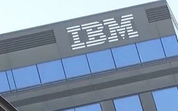 IBM muốn ngừng tuyển dụng vì AI làm hết việc