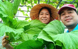 Khu vườn sân thượng 70m2 trĩu nặng rau quả từ căn nhà phố ở Bình Thuận