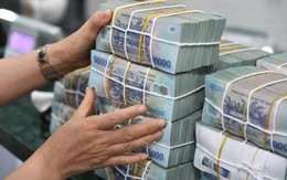 Ngân hàng trả cổ tức tiền mặt: Lãnh đạo VIB nhận được cả trăm tỷ, gia đình chủ tịch VPBank dự thu nghìn tỷ