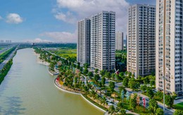 Phân khúc nào "vững vàng" trước biến động?