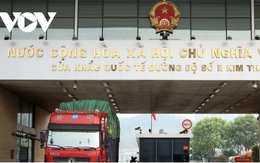 Cảnh báo giả mạo giấy chứng nhận xuất khẩu nông sản sang Trung Quốc