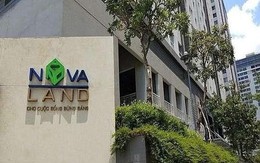 Phát Đạt, Novaland cảnh báo việc mạo danh doanh nghiệp để lừa đảo