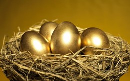 Các “đại gia” Thái Lan bỏ túi gần 1 tỷ USD cổ tức từ những “con gà đẻ trứng vàng” trên sàn chứng khoán Việt Nam