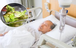 Ông cụ 61 tuổi bị ung thư gan do thường xuyên ăn 1 loại rau