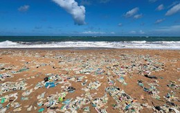 Chùm ảnh rác thải tràn ngập từ trên bờ đến tận đáy các đại dương