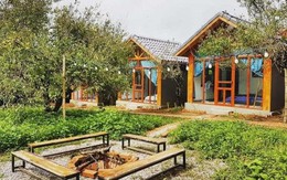 Nhà giàu Hà Nội vỡ mộng khi bỏ hàng chục tỷ đồng làm homestay tại vùng ven: “Lỗ một nửa tôi cũng bán”