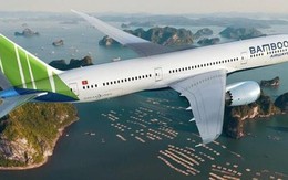 Toàn bộ thành viên HĐQT, thành viên BKS Bamboo Airways từ nhiệm