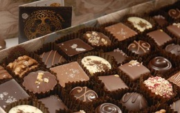 Chocolate có thể đắt đỏ hơn khi giá ca cao cao kỷ lục 7 năm