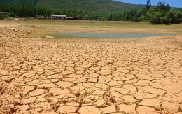 El Nino đã bắt đầu, Việt Nam đối diện hạn hán khốc liệt