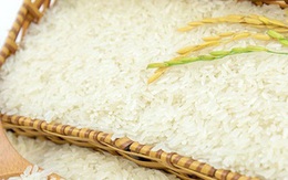 Nhiều loại gạo Việt Nam có giá bán cao hơn Thái Lan, Ấn Độ