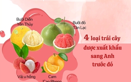 Các loại trái cây Việt Nam được xuất khẩu sang thị trường Anh