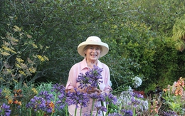 Khu vườn ngập hoa của cụ bà 83 tuổi đã dành 33 năm để chăm sóc