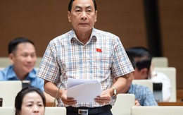 Đại biểu Phạm Văn Hòa: Nhiều người nước ngoài núp bóng, thu mua nhiều đất đai