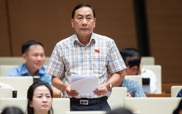 “Không ít người nước ngoài núp bóng cá nhân, tổ chức của Việt Nam thu mua nhiều đất đai”