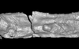 Quét 3D mộ cổ, bí mật 1.700 năm phát lộ: Chuyên gia thốt lên "vô song"!