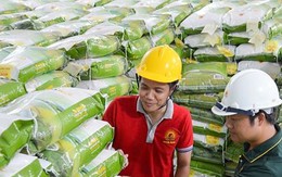 Giá gạo Việt vượt Thái Lan đứng số 1 thế giới