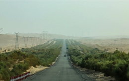 Biến cát thành đất trồng, Trung Quốc phủ xanh gần 500km đường băng qua sa mạc