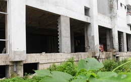 Hàng nghìn căn hộ tái định cư bỏ hoang trên “đất vàng' Hà Nội