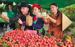 Dàn KOL TikTok livestream bán hết 23 tấn vải thiều Bắc Giang, 10 phút bán sạch mỳ Chũ, thịt gác bếp: 4 tiếng chốt hơn 5.100 đơn hàng, thu về hơn 1 tỷ đồng