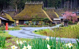 Những ngôi nhà mái tranh có lịch sử 5.000 năm tuổi ở Nhật Bản