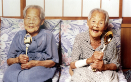Khảo sát 176 người Nhật trên 100 tuổi: Điểm chung của trường thọ chính là bảo vệ tốt 1 cơ quan trong cơ thể