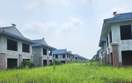 100 biệt thự bỏ hoang ở Hưng Yên gần 20 năm: Vì đâu?