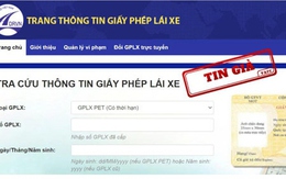 Cảnh báo nhiều website giả mạo tra cứu GPLX