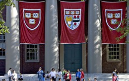 Đại học Harvard dùng phần mềm tích hợp trí tuệ nhân tạo trợ giảng cho sinh viên