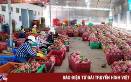 Nông sản Việt đắt khách tại châu Á