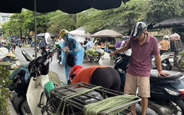 Chợ tự phát họp lấn chiếm lòng đường, vỉa hè tại khu đô thị Đền Lừ, Hà Nội