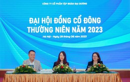 ĐHĐCĐ OGC: Tập trung vào bất động sản, kế hoạch LNST năm 2023 tăng 141% lên 142 tỷ đồng, là Bất động sản