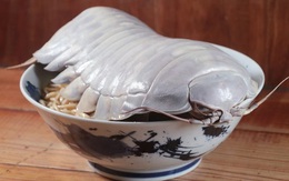 Món mì ramen kết hợp bọ biển khổng lồ thu hút thực khách