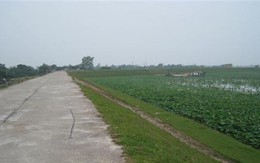 Hà Nội: Phê duyệt chỉ giới tuyến đường rộng 25m ở huyện Gia Lâm