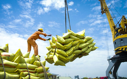 Hiện tượng thời tiết dị thường giúp "nông sản vàng" của Việt Nam tiếp tục dẫn đầu thế giới