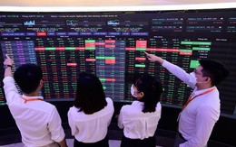 Phiên 6/6: Tự doanh CTCK trở lại mua ròng, "gom" mạnh cổ phiếu UPCoM