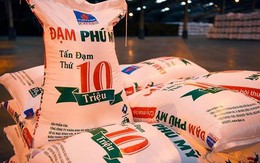 Đạm Phú Mỹ (DPM) muốn tăng vốn điều lệ trong năm 2023, sắp chi nốt gần 1.200 tỷ trả cổ tức cho cổ đông