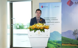 Khát vọng của CEO Hillridge nhằm bảo vệ nông dân Việt Nam khỏi biến đổi khí hậu
