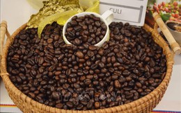 Tín hiệu xuất khẩu cà phê có thể thiết lập kỷ lục mới