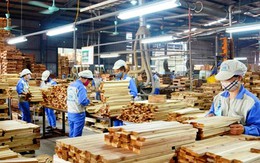 Doanh nghiệp gỗ ‘phản pháo’ việc bị chậm hoàn hơn 6.000 tỷ đồng thuế VAT