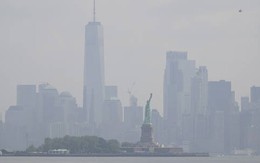 Toronto và New York là hai thành phố ô nhiễm nhất thế giới