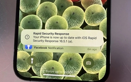 Apple xác nhận bản cập nhật iOS khiến iPhone không thể truy cập Facebook, Instagram, Zoom: Đây là cách để gỡ bỏ
