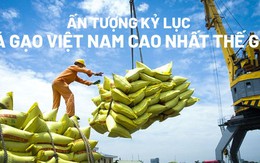 Ấn tượng kỷ lục giá gạo Việt Nam cao nhất thế giới