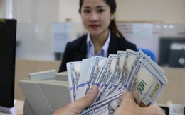 Kiều hối về TP Hồ Chí Minh đạt 4,4 tỷ USD
