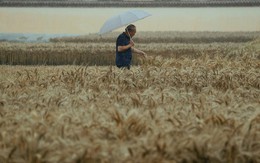 "Cơn mưa đắng" tệ nhất trong 1 thập kỷ khiến nông dân Trung Quốc chao đảo, hé lộ mối đe dọa thường trực